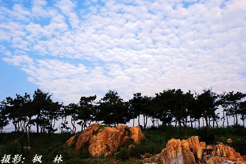 海滨晨韵