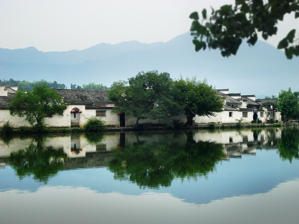 黄山一组（代发）