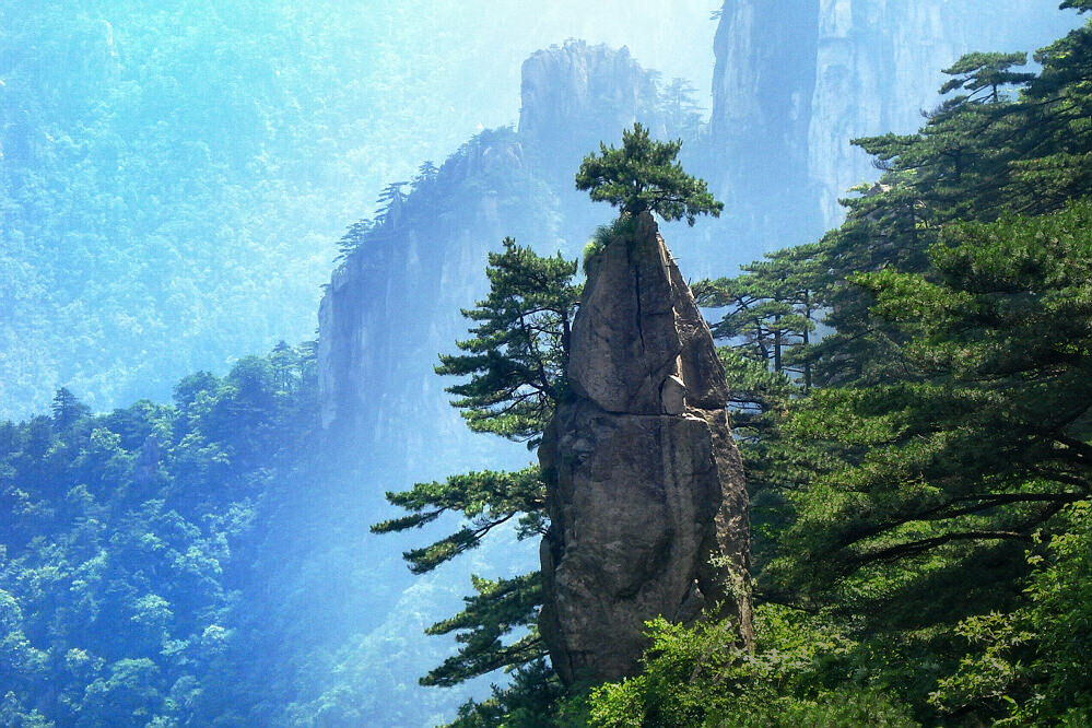 黄山一组（代发）