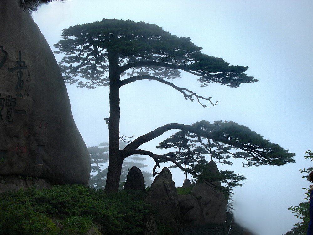 黄山一组（代发）