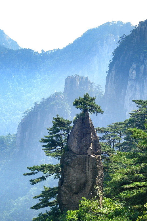 黄山一组（代发）