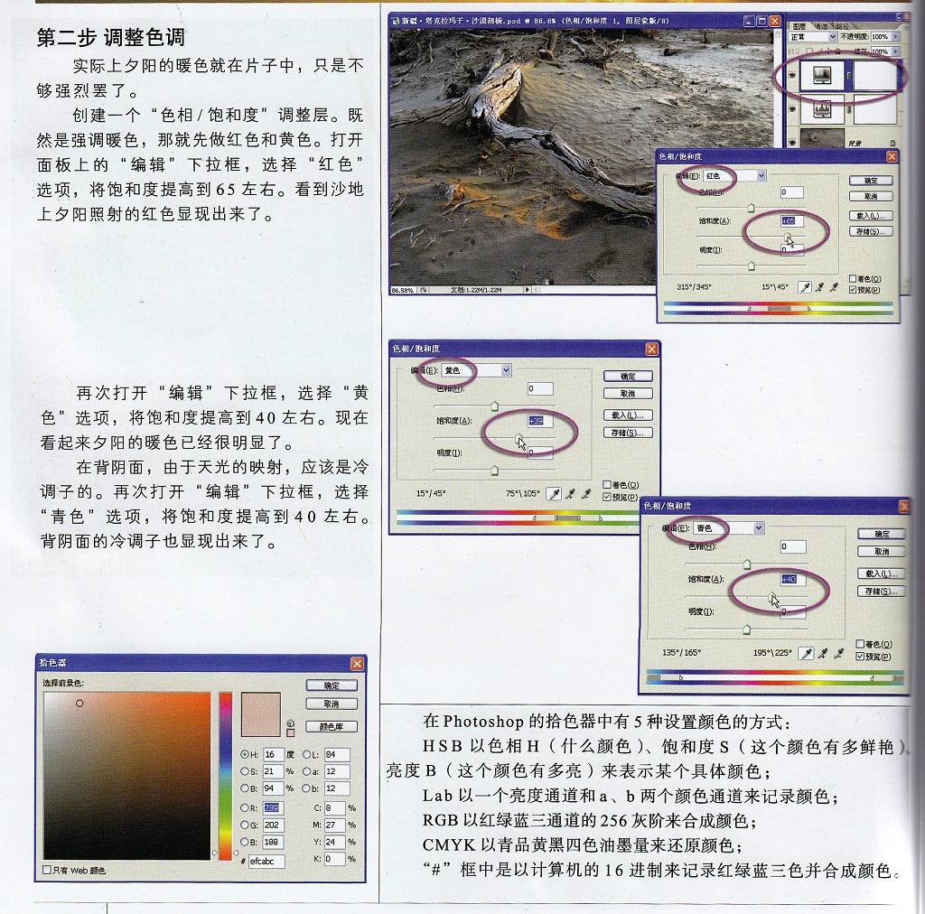 堂堂系列教程