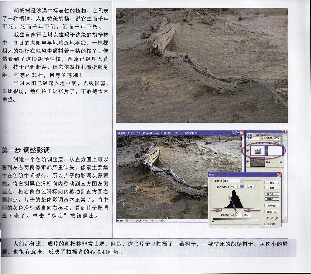 堂堂系列教程