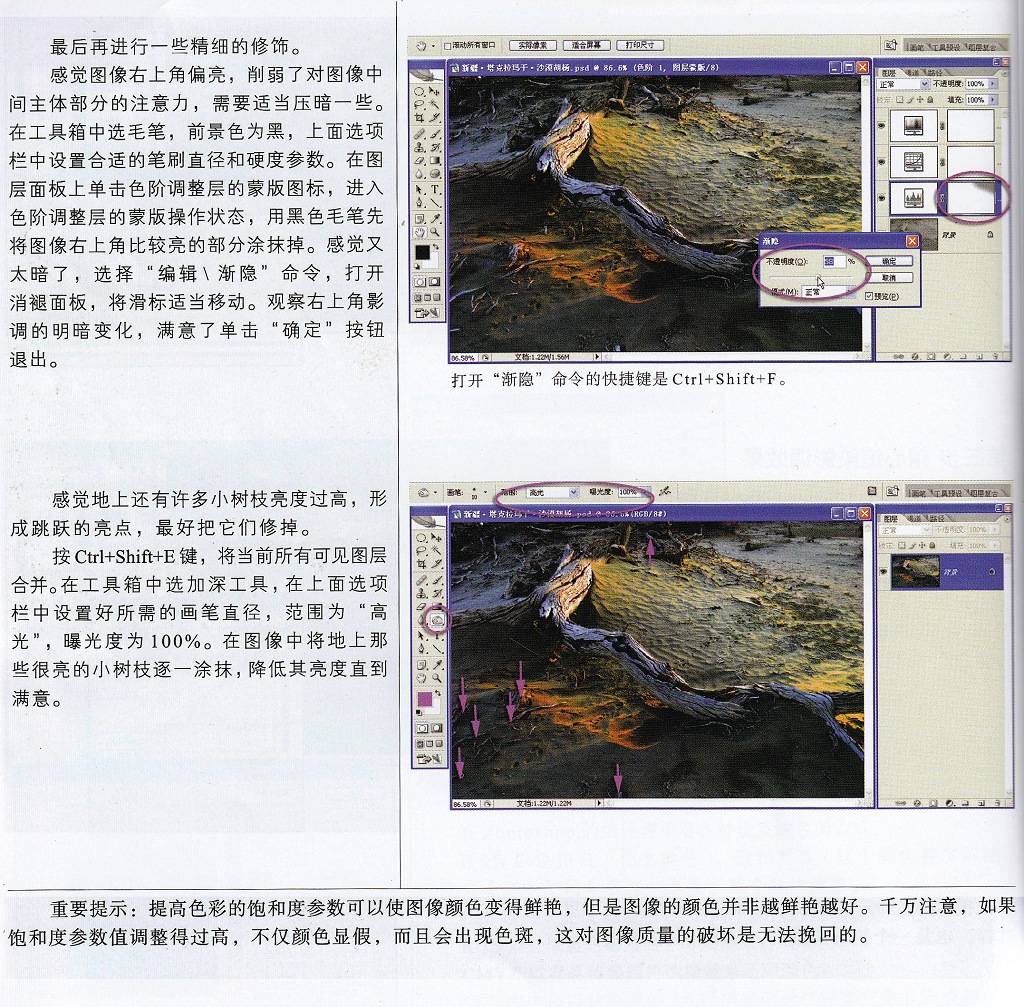 堂堂系列教程