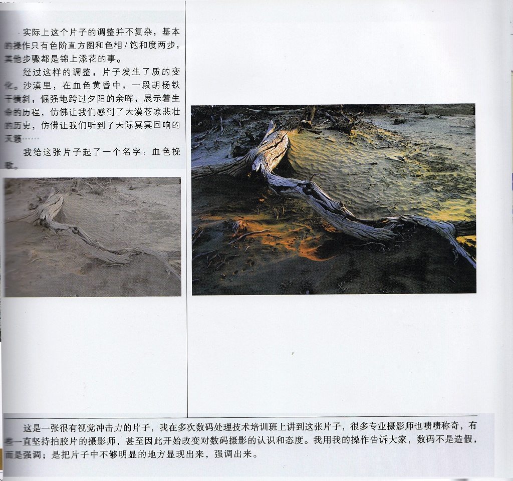 堂堂系列教程