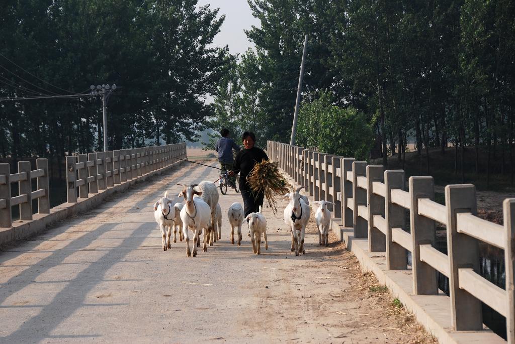 堤下小景