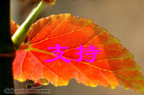 迎五一趣味运动会在第五社区举办