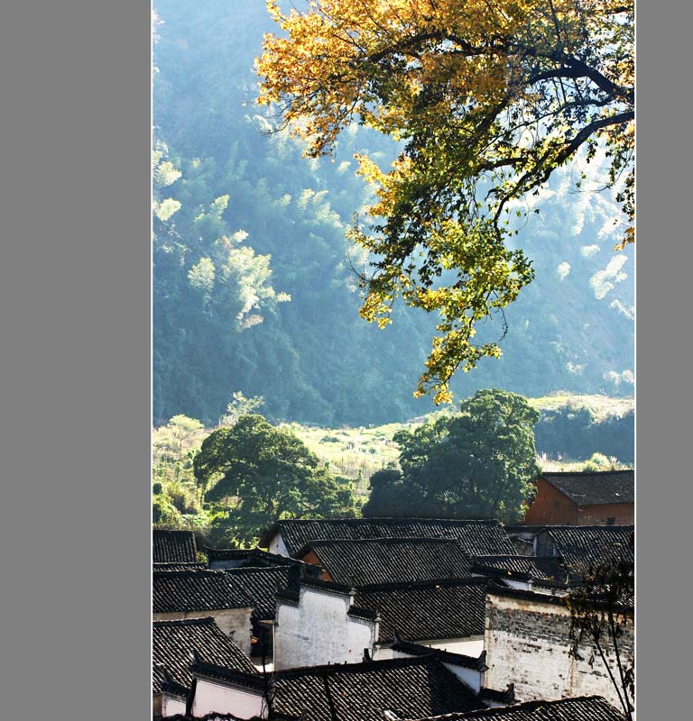 每日一片  天天更新