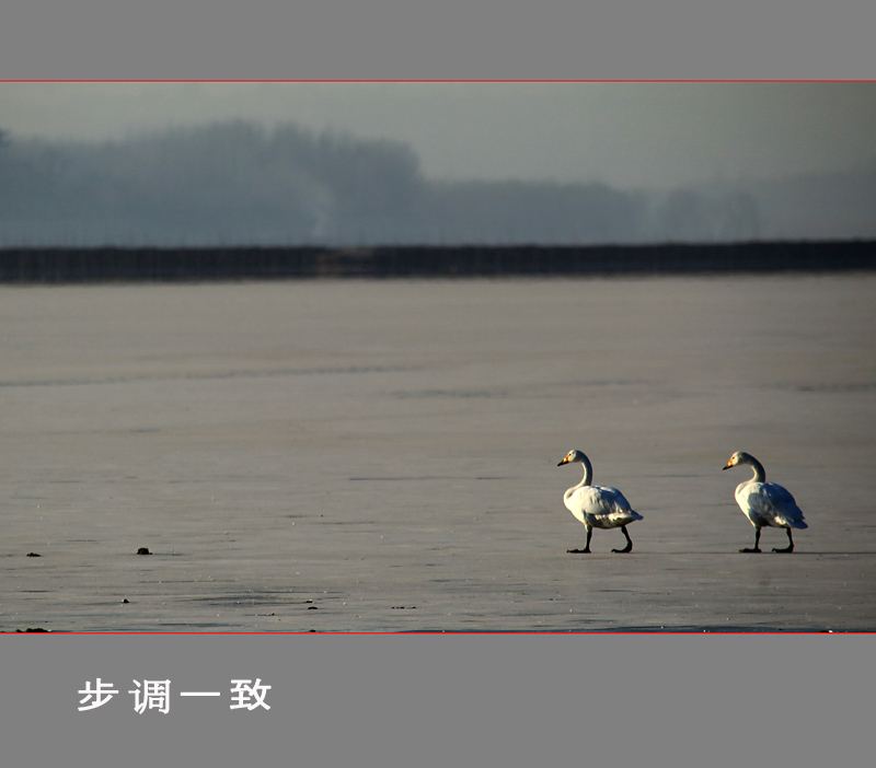 每日一片  天天更新