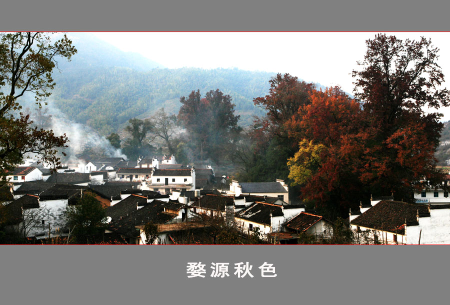 每日一片  天天更新