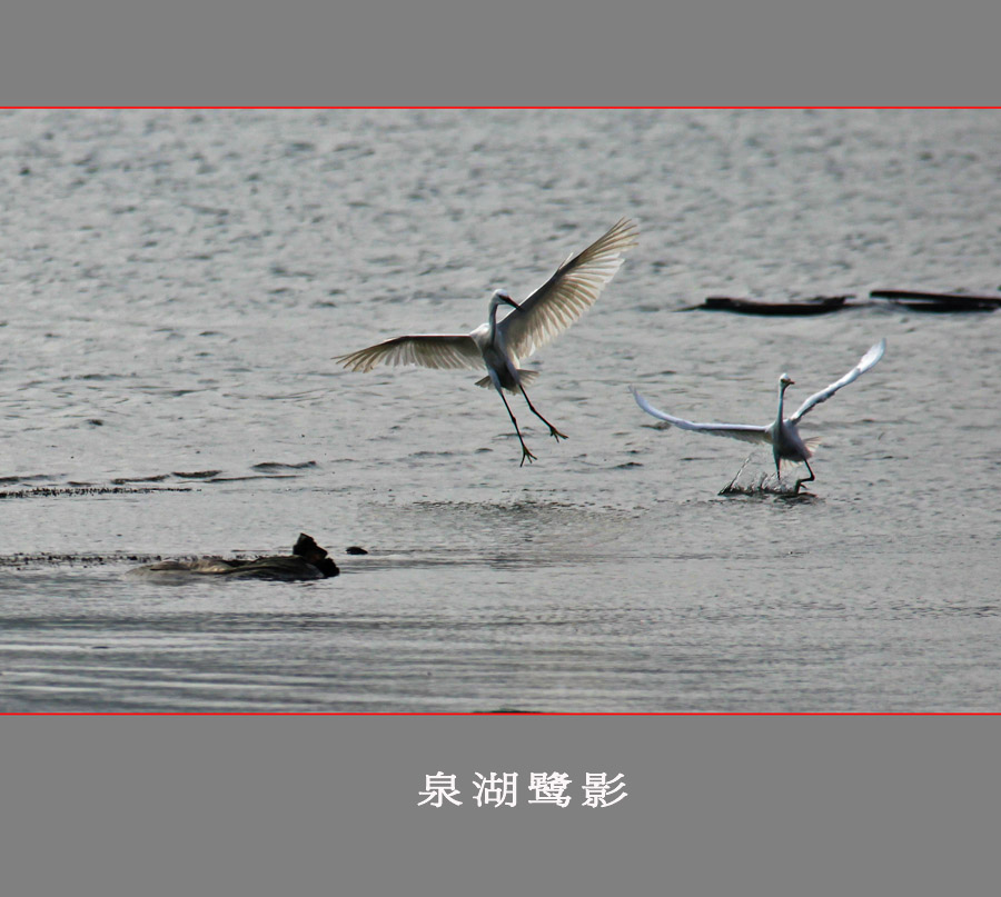 每日一片  天天更新