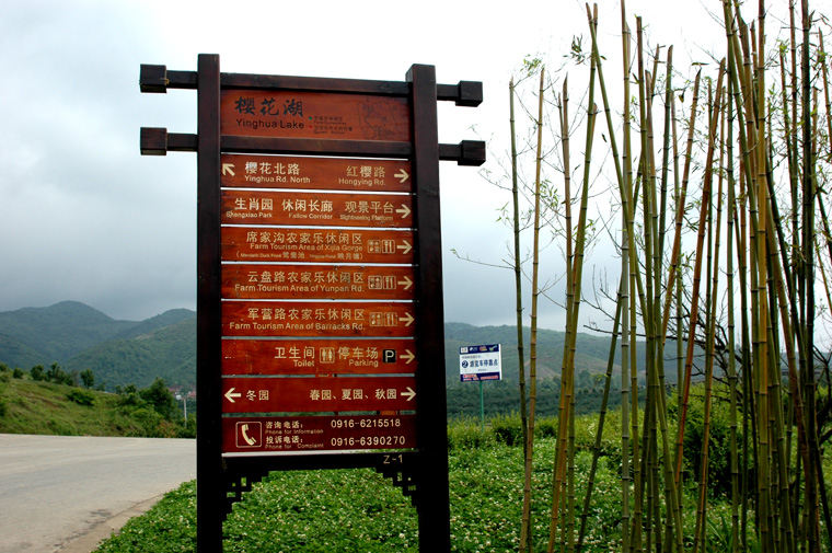 又到樱桃沟