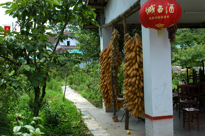 又到樱桃沟