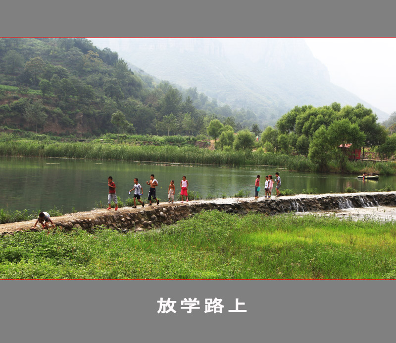 每日一片  天天更新