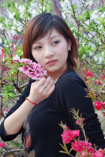 春天的记忆