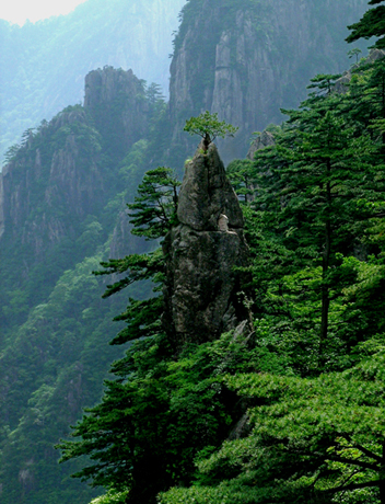 黄山的山