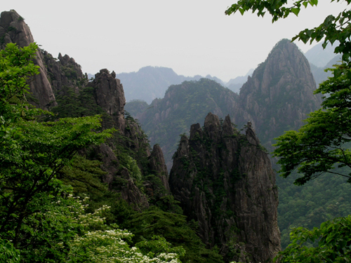 黄山的山