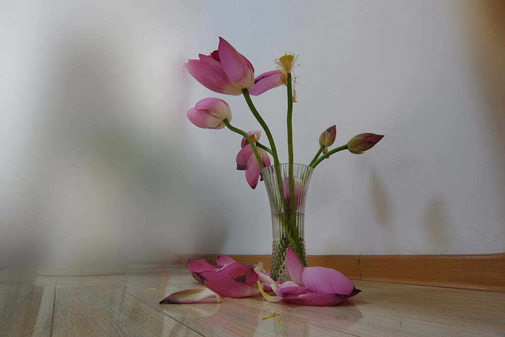 荷