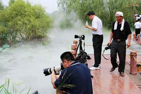 微山红荷湿地欢乐行