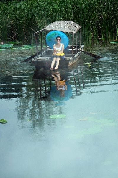 微山红荷湿地欢乐行