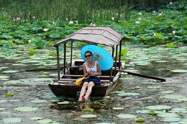 微山红荷湿地欢乐行