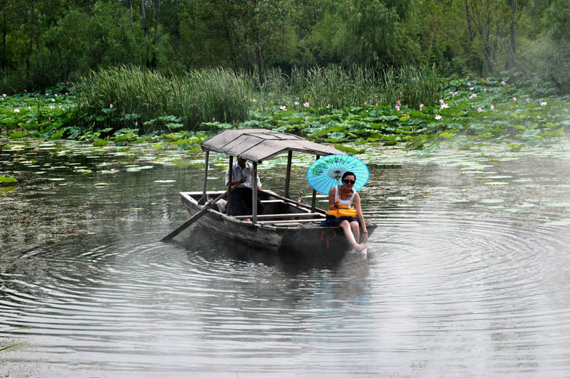 微山红荷湿地欢乐行