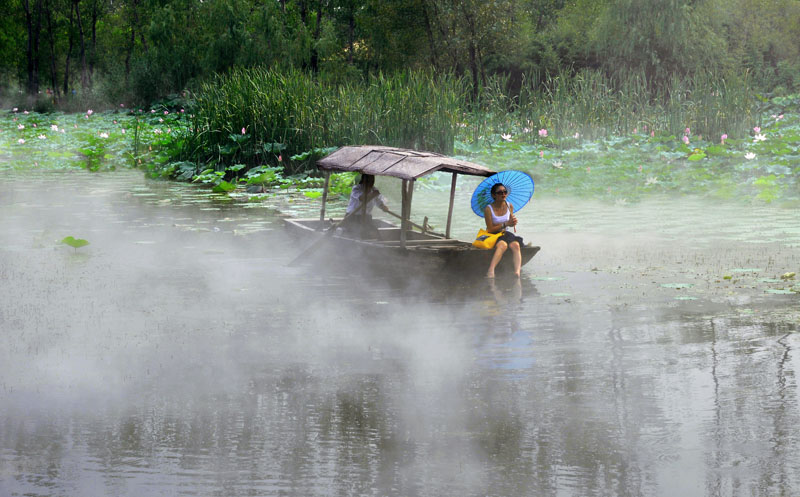 微山红荷湿地欢乐行