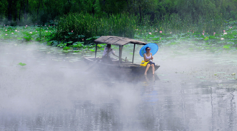 微山红荷湿地欢乐行
