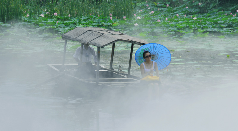 微山红荷湿地欢乐行