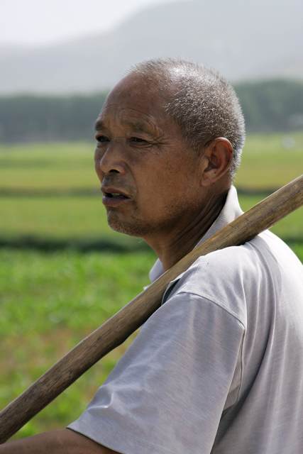 劳动本色