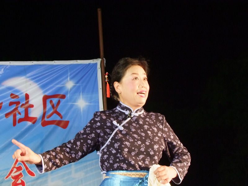 “登月之声”消夏晚会实拍