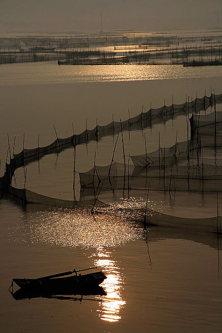 东湖风光