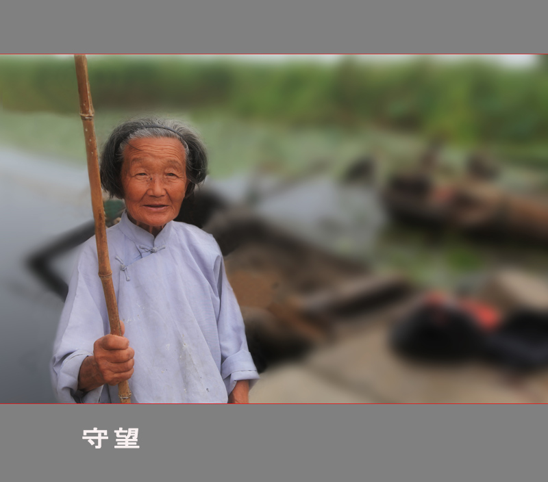 每日一片  天天更新