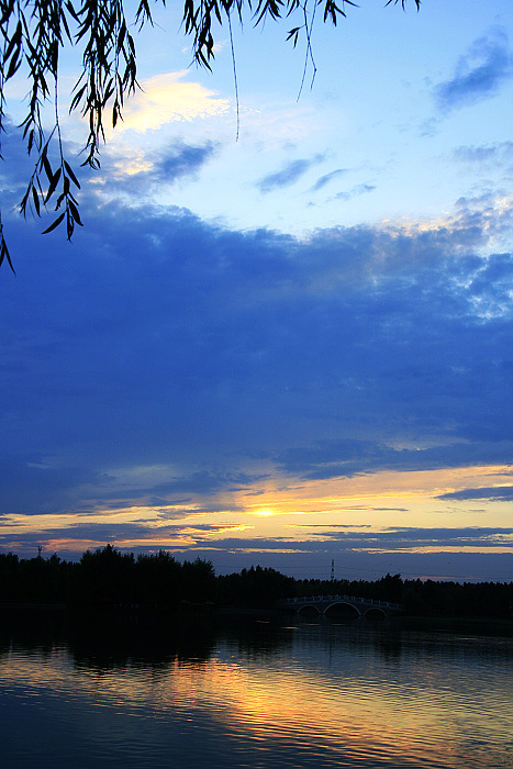 8月26日在濮上园拍夕阳一组