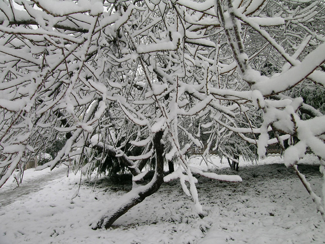 油城雪景