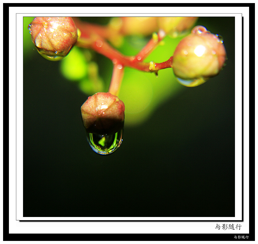 小小水珠