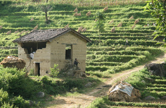 云南。藏在深山里的小村庄《尼格村》