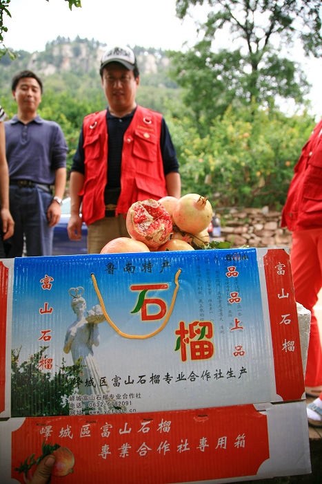 冠世榴园