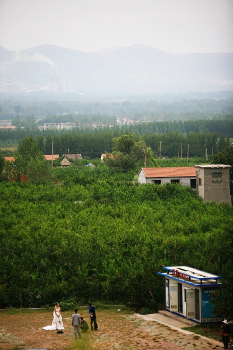 冠世榴园