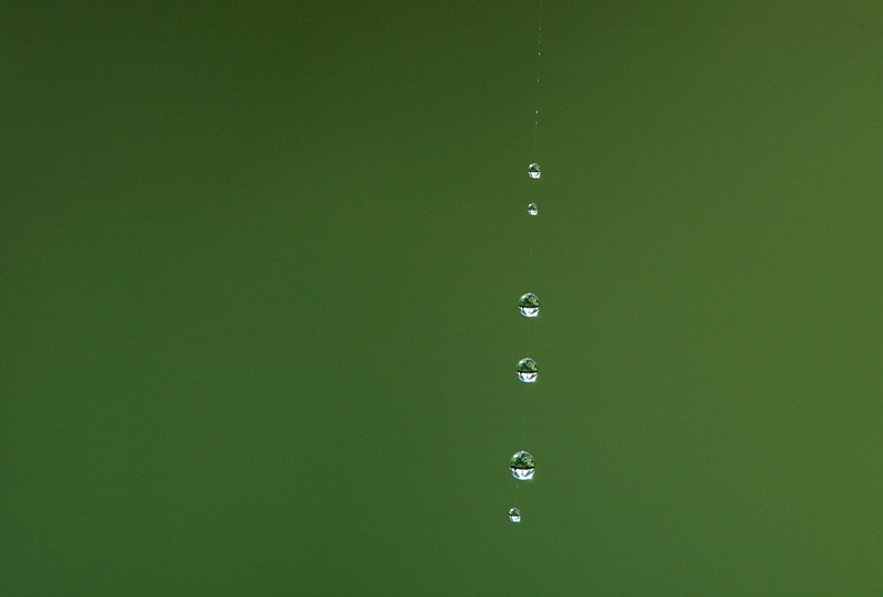 水珠也温柔