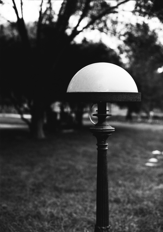 胶片首发－MAMIYA645PRO TL+柯达100/120黑白负片－葫芦