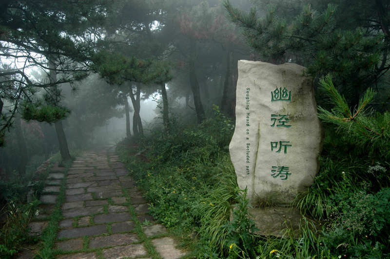 太行雄风王莽岭