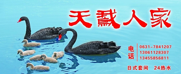 来俺山东拍天鹅
