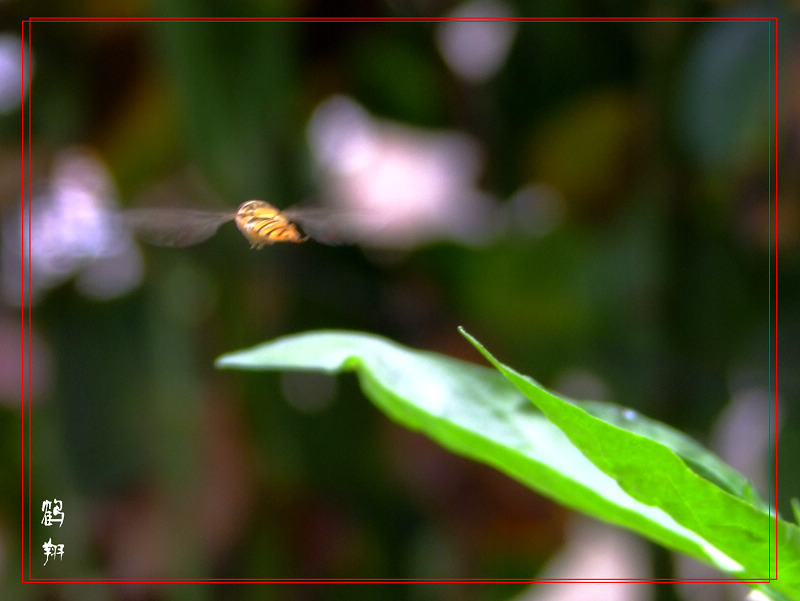 [原创]有幸过了把天价机的瘾