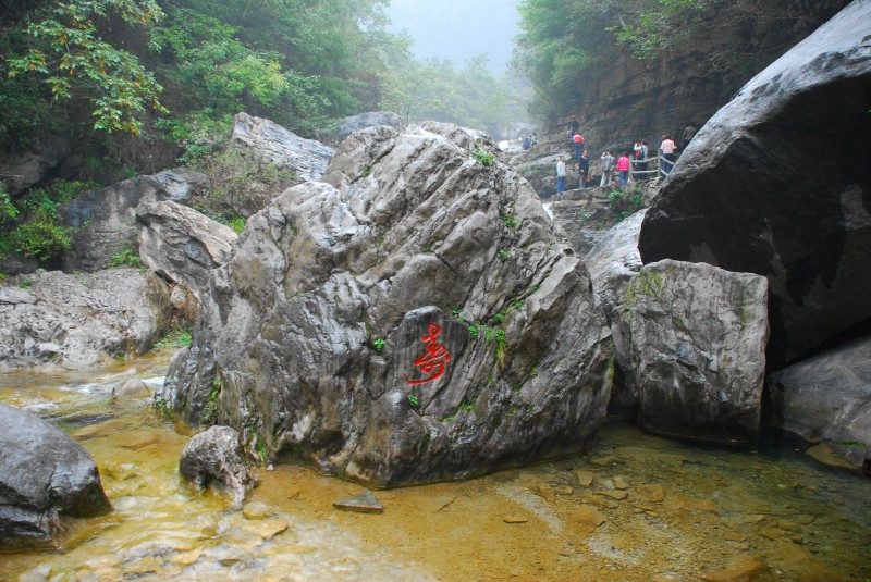 也上云台山