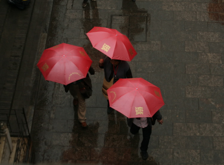 细雨平遥色缤纷（组图）