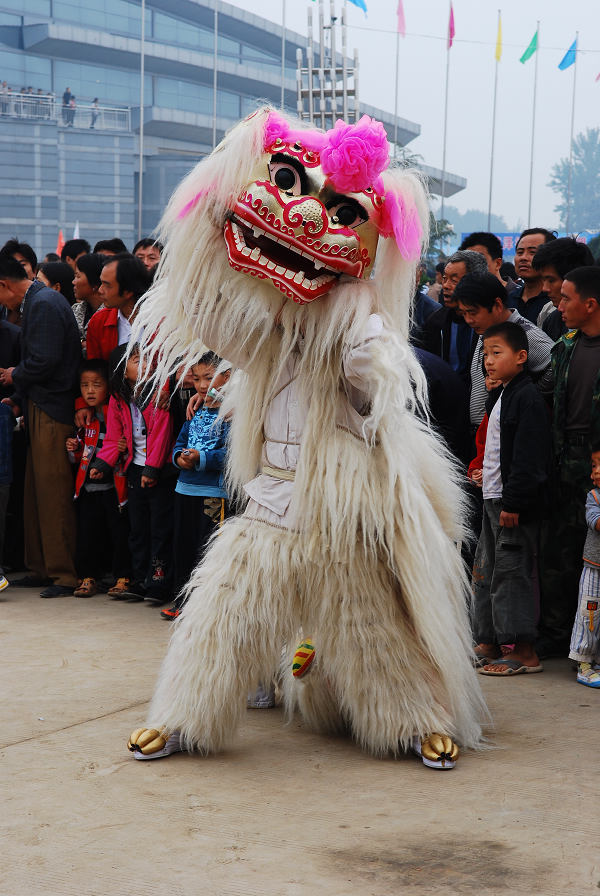 林交会拾零