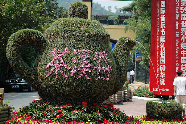 茶园随记