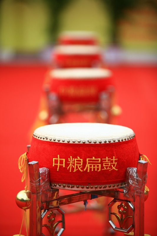 龙乡文化节之。。