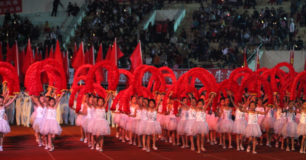 濮阳市“两节一会”花絮